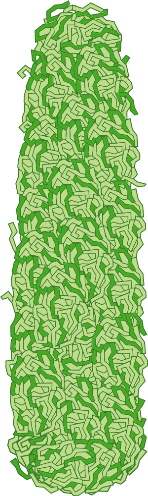 お好み焼きを食べよう！