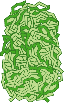 お好み焼きを食べよう！