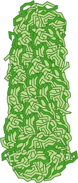 お好み焼きを食べよう！