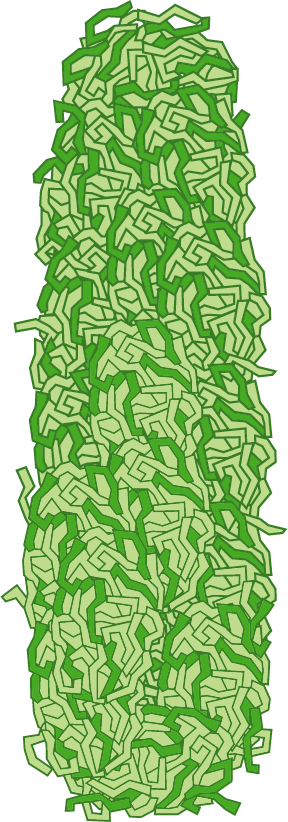 お好み焼きを食べよう！